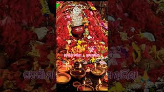 Ghatagaon maa tarini 🙏🌺 sindura rani maa tarini 🙏🌺🪔🥥🙌😭maatarini sorts subscribe shortvideo [upl. by Oilime]