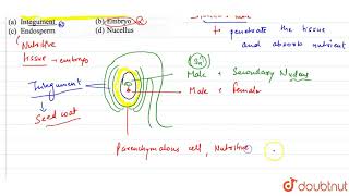 Haustoria formation is often seen associated with [upl. by Ytteb]