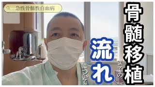 【白血病】骨髄移植するまでの治療や流れを詳しく説明します【抗がん剤】 [upl. by Homans]