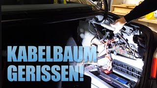 BMW E60 Kofferraum Kabelbaum Kabelbruch und Zugfeder wechseln  Sido auf Wish bestellt 😂 [upl. by Ayiram]