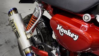 Honda Monkey 125  Over Racing GP RSR Exhaust amp Intake Sound [upl. by Regdor455]