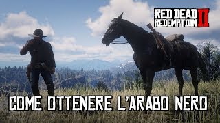 COME OTTENERE LARABO NERO  RED DEAD REDEMPTION 2 [upl. by Hampton]