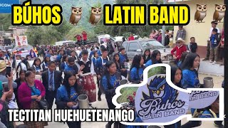 BÚHOS 🦉🦉LATIN BAND TECTITAN 2024 [upl. by Ymot]