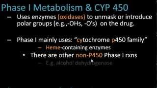 Phase I Metabolism  Pharmacology Lect 7 [upl. by Silvana]