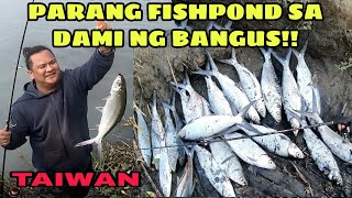 EP24  Parang Fishpond sa dami ng BANGUS dito sa Ilog ng Taiwan [upl. by Bran513]