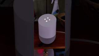 Google Home plays the name game for Chuck [upl. by Burrow]