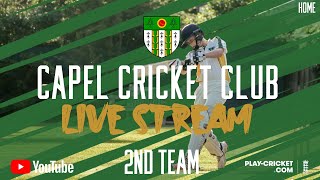 Capel 2nd XI vs Ashtead 2nd XI [upl. by Aelegna]