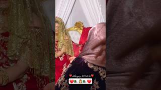 سالومي  شوفو حنة عرسي كفاش جازت👰‍♀️🇩🇿❤ [upl. by Fennie]