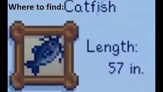 Where to catch the Catfish in Stardew Valley [upl. by Aneeles]