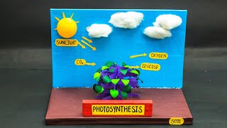 Biology Science Fair Projects [upl. by Roley910]