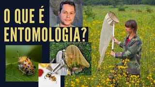 O QUE É ENTOMOLOGIA E O QUE FAZ UM ENTOMOLOGISTA [upl. by Annasor]