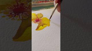 🎨🌼 Painting a yellow flower with watercolor 🌼🎨 watercolorpainting yellowflower watercolorist [upl. by Auqeenwahs]