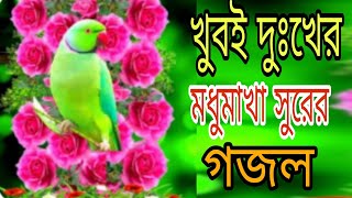 Bangla gojol Islamic gojol  new Islamic Bangla gojol2024 Islamic Bangla gojol [upl. by Yllitnahc]