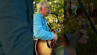 Summer Wind Frank Sinatra cover acousticcover summerwind franksinatra [upl. by Julian]