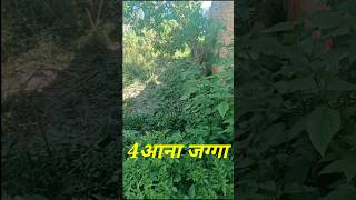 Land sale in Kathmandu kapan paiyatar 4ana jagga 13fit bato tu ghar banaunu milne [upl. by Phelps]