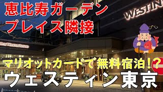 【ホテル】ウェスティンホテル東京 朝食やアフタヌーンティーが大人気 恵比寿ガーデンプレイス隣接 [upl. by Lorna]