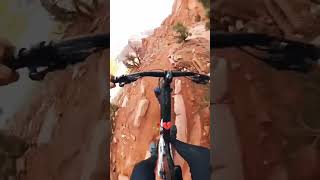 Cycle Rider cycle stunt YouTube shortsstunt shorts [upl. by Sanson]