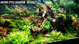 Nature Style Aquarium Low Tech No CO2  CINEMATIC 4K [upl. by Richel]