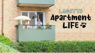 Lagotto Romagnolo  Daily Routine of a dog living in an apartment [upl. by Mallory]