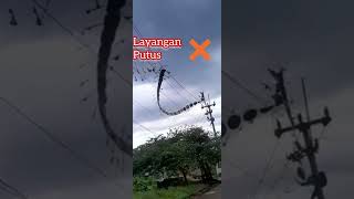 Layangan Putus ❌  Layangan Nyangkut ✅  Layangan Raksasa nyangkut ke Kabel Listrik bikin koslet [upl. by Tymon]