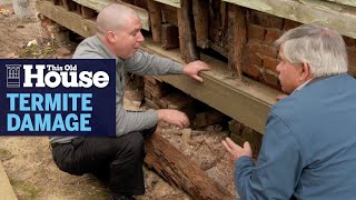 How to Prevent Termite Damage  This Old House [upl. by Meghan743]