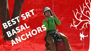 3 Best Basal Anchors  the BEST ways to anchor SRT access line around base of tree  arborist review [upl. by Akihc]