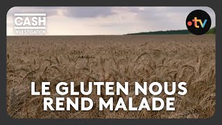 Gluten  notre blé estil devenu indigeste   Cash investigation [upl. by Bendicta]