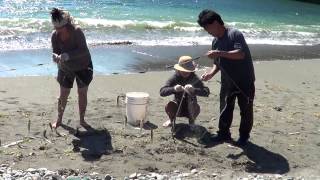 Smelt Fishing in Port Renfrew  Câu Cá Mòi [upl. by Omarr]