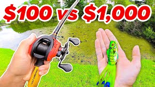 100 vs 1000 Budget Fishing Challenge Rod Reel Lures [upl. by Mahda41]