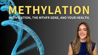 Methylation the MTHFR gene and your health [upl. by Dymoke]