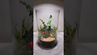 How to Make a Terrarium with Plants  Terrarium Tutorial diy plants gardening [upl. by Esiom]