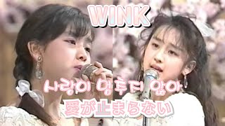 Wink  사랑이 멈추지 않아愛が止まらない Turn it into love교차편집STAGE MIXREMIX [upl. by Ennaitsirhc56]