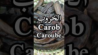 فوائد الخروبCarob benefitsLes bienfaits du Caroubeshorts [upl. by Brendan324]