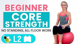 BEGINNER CORE  15 Minute STABILITY BALL Workout for BEGINNERS [upl. by Adella]