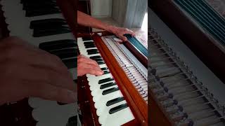 Thare Rahiyo Harmonium harmonium shortvideo trending [upl. by Gregoor]