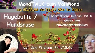 MondTalk zum Vollmond  Im Gespräch mit Nana Mara auf dem PflanzenPhiloSofa  Hagebutte Hundsrose [upl. by Novoj]