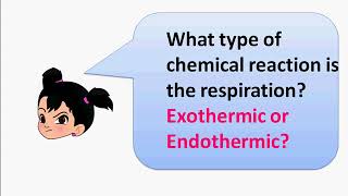 रासायनिक अभिक्रिया और समीकरण – ऊष्माक्षेपी ऊष्माशोषी Part 3 – Exothermic Endothermic  Hindi [upl. by Larok]