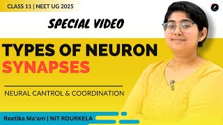 Types of Neuron and Synapse I Neural Control and Coordination I Class 11 I Neet 2025 [upl. by Delila373]