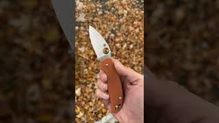 Spyderco Sage 5 in CPM Rex 121 youtubeshorts shorts edc [upl. by Amik]