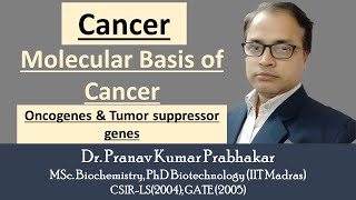 Oncogenes and proto oncogenes [upl. by Anohs]