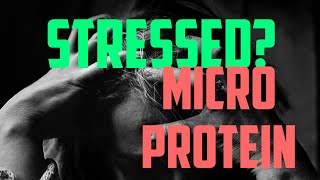 MicroProtein and Stress [upl. by Freed]