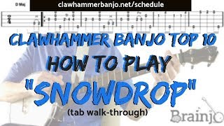 Clawhammer Banjo Top 10 How To Play quotSNOWDROPquot banjo tab walkthrough  LIVE Workshop [upl. by Satterfield]