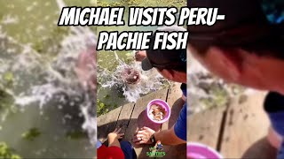 Michael Visits PeruPaiche Fish [upl. by Yart]