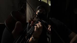 Sadness and Sorrow Naruto Theme Violin Cover [upl. by Ynoep]