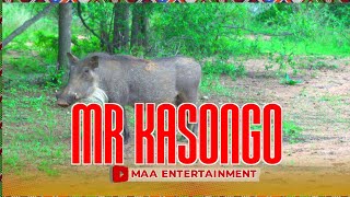 MR KASONGO V16 [upl. by Jehias]