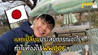 WWOOF ทำไมต้องอยากไปใช้แรงงานที่ญี่ปุ่น   CHANYA CHANNEL [upl. by Sheff]