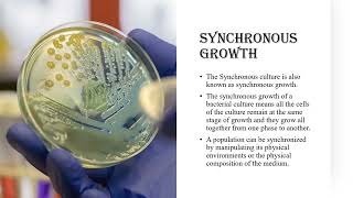 BATCH CONTINUOUS GROWTH SYNCHRONOUS GROWTH DIAUXIC GROWTH NOTES FOR UG amp PG MICROBIOLOGY amp BIOTECHN [upl. by Llehcim]