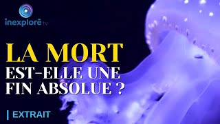 Un regard inédit sur le vivant la mort et ses mystères  1001 métamorphoses Extrait offert [upl. by Ecienal]