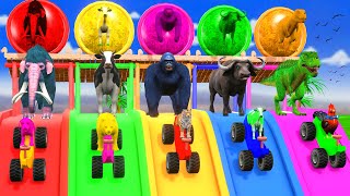 Paint Animals Gorilla Cow Duck Lion Dog Elephant Tiger Fountain Crossing Cartoon Animal Game [upl. by Ajdan]