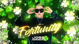 Fortunity ✘ Joseignacio Dj [upl. by Freed]